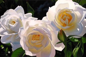 "Sunny Afternoon Roses" Brian Davis