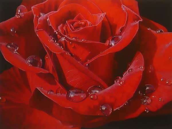 "Legendary Rose" Oil Painting on Canvas