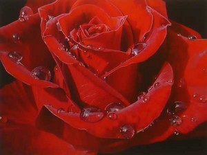 "Rose" By Gerald Mendez