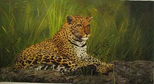 "Daydreaming Leopard" Alberto Herrera