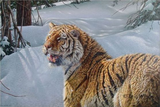"Into The Cold" Eric Wilson Wildlife Painting Oil
