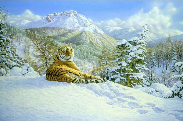 "Taiga Tiger" Eric Wilson Wildlife Fine Art